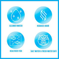 Eau d’aquarium plus nette après utilisation d’Algaway 5.4