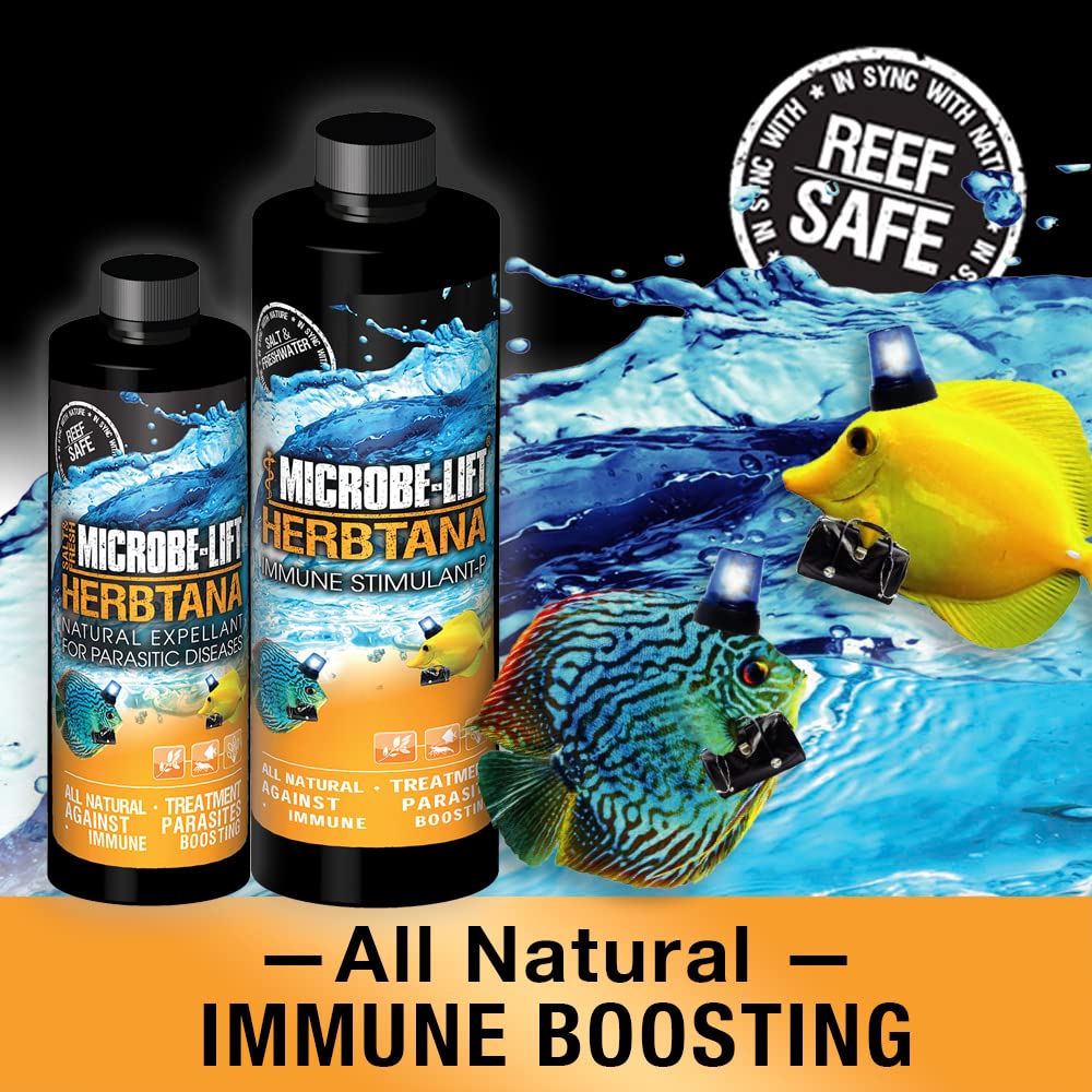 Doseur montrant 1 mL par 5 gallons pour le dosage quotidien.