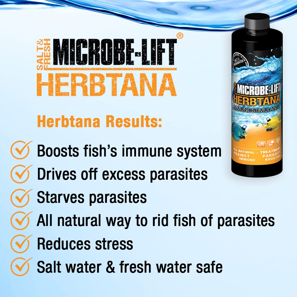 Traitement dans l’aquarium avec Herbtana, approche naturelle pour les poissons