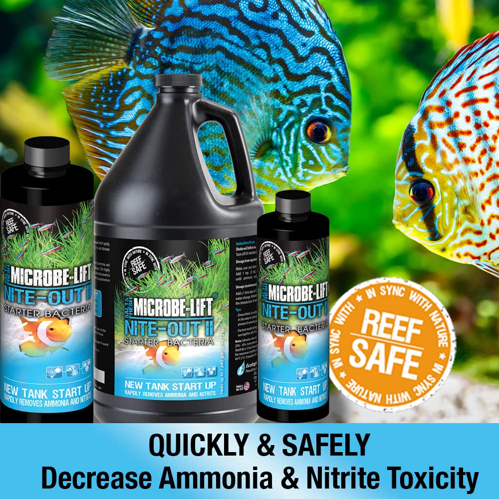 MICROBE-LIFT Nite-Out II active les bactéries nitrifiantes pour réduire l'ammoniaque et nitrites.