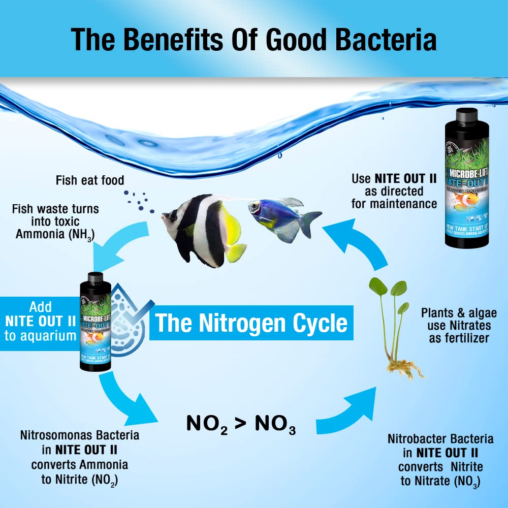 Introduction des poissons facilitée par MICROBE-LIFT Nite-Out II en douceur.