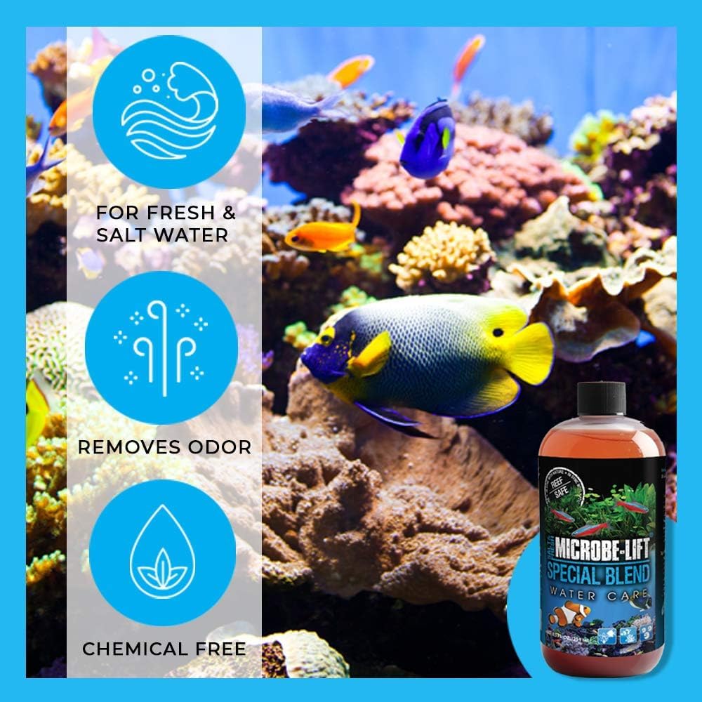 Compatible avec poissons, invertébrés et plantes dans votre bac.