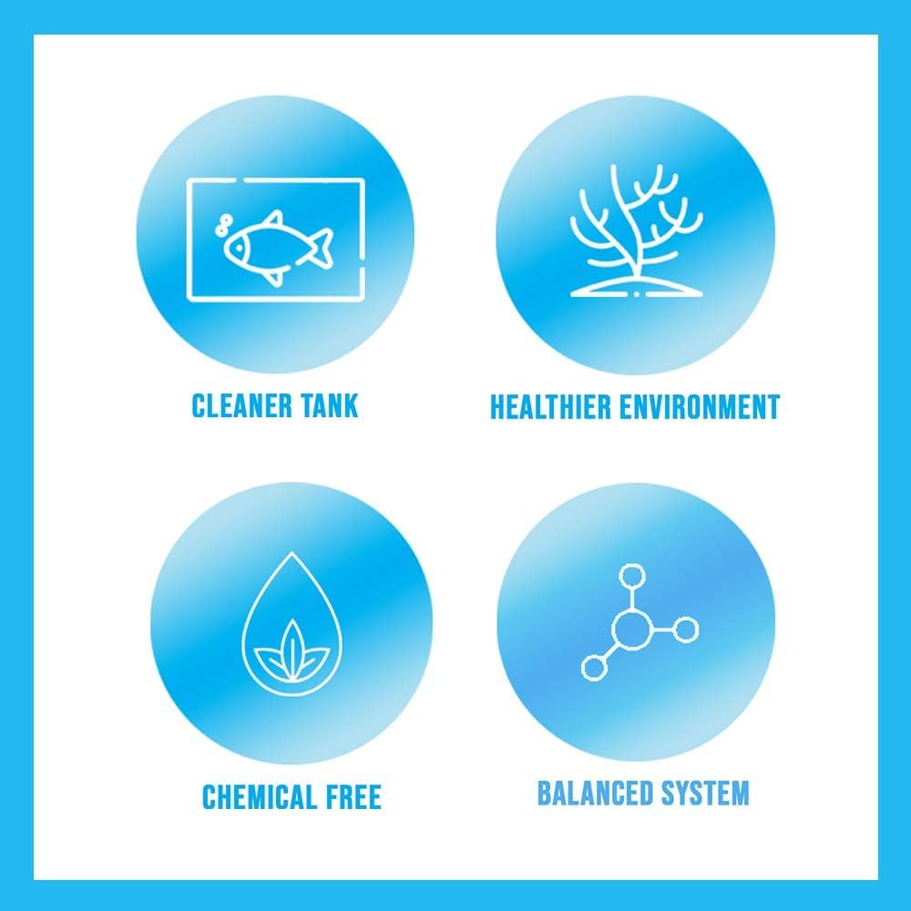 Dosage hebdomadaire simplifié avec MICROBE-LIFT Special Blend.