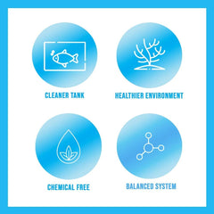 Dosage hebdomadaire simplifié avec MICROBE-LIFT Special Blend.