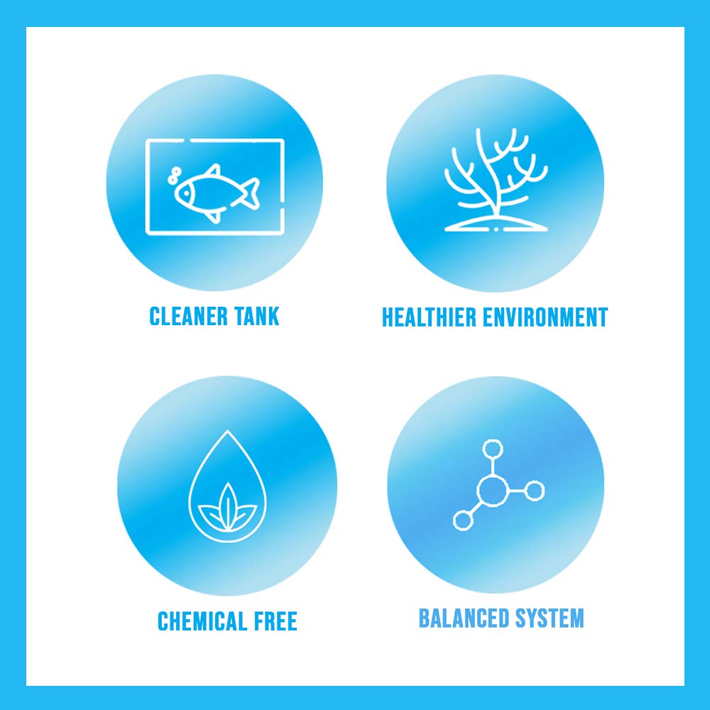 Eau d’aquarium plus limpide après l’utilisation de MICROBE-LIFT Special Blend.