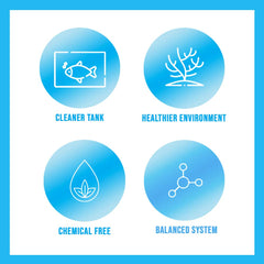 Eau d’aquarium plus limpide après l’utilisation de MICROBE-LIFT Special Blend.