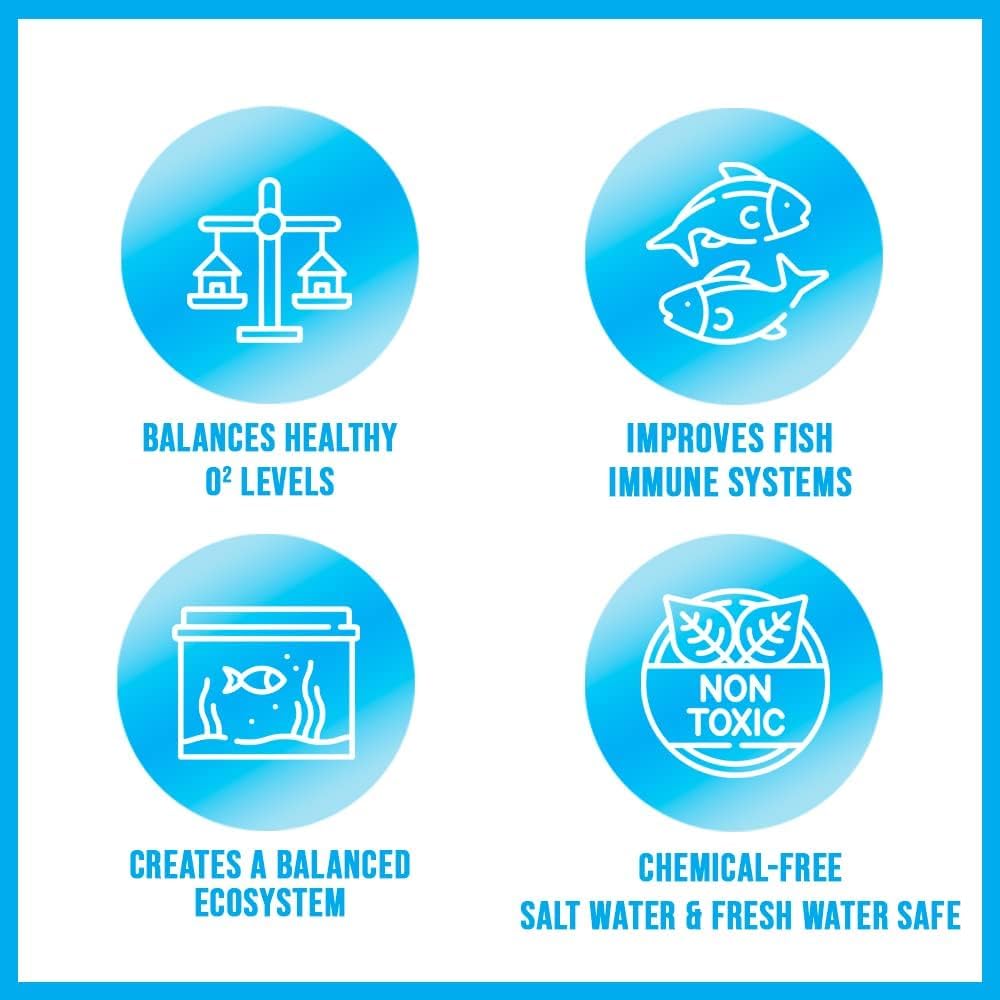 Microbe-Lift TherP16 compatibilité élevée avec plantes et poissons, usage sûr.