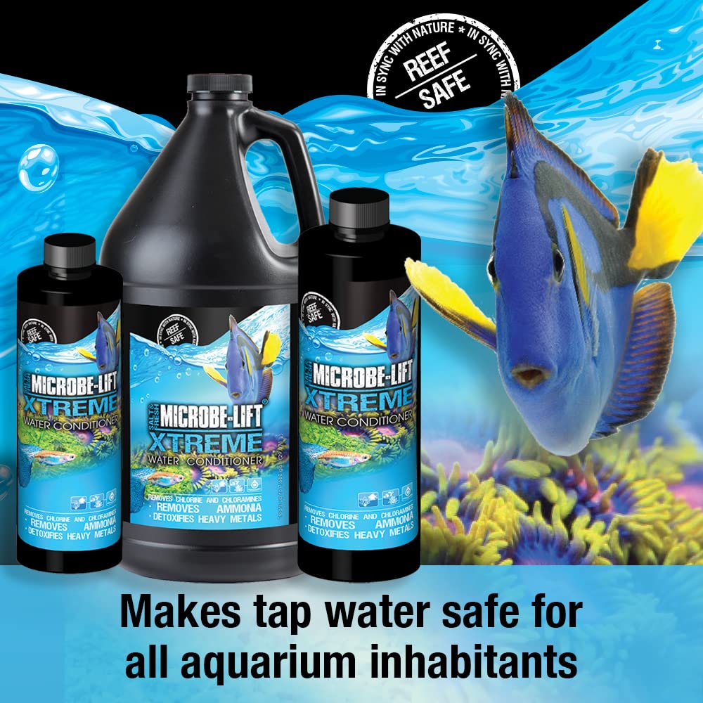 Microbe-Lift Xtreme — détox des ammoniaques et chloramines pour eau plus claire.