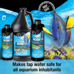 Microbe-Lift Xtreme — détox des ammoniaques et chloramines pour eau plus claire.