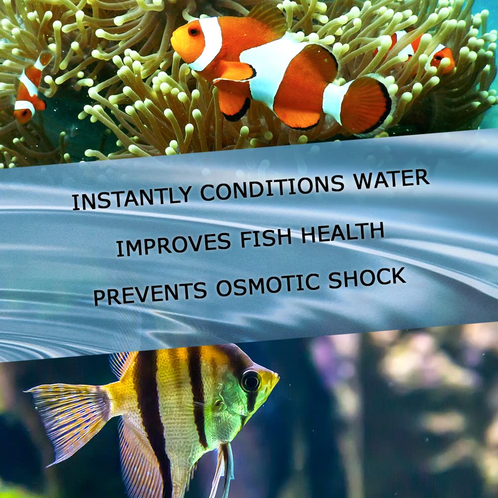 Microbe-Lift Xtreme — recommandé lors de mises en eau neuves ou changements d'eau.