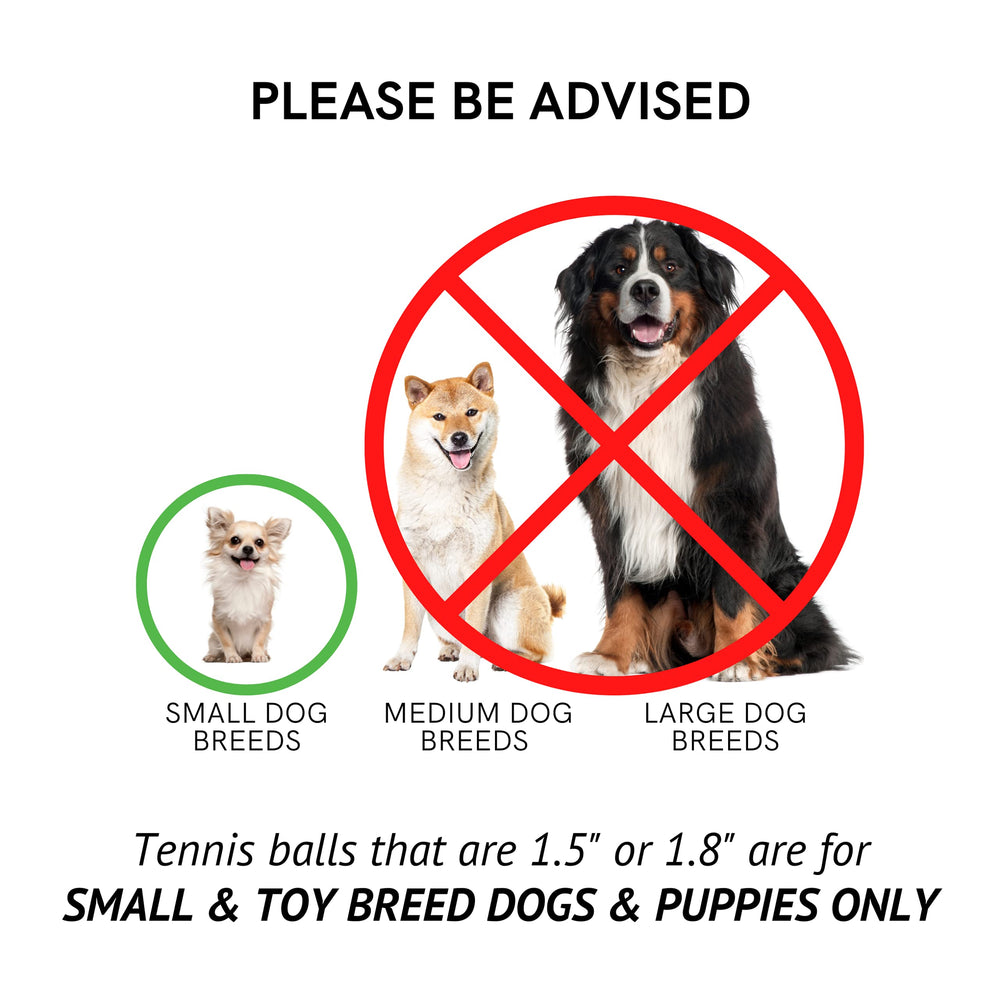 Midlee balles adaptées pour chiots et petites races, parfaites pour des sessions courtes.