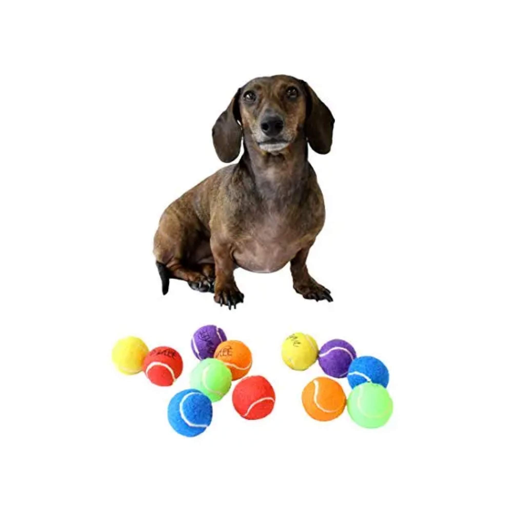 Midlee balle de tennis mini 1,5 pouce pour petites races, parfaite pour le rapport.