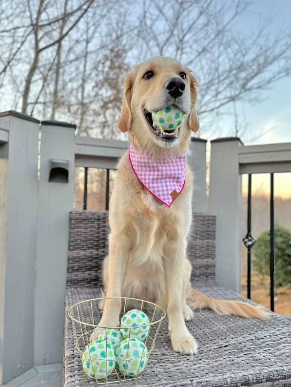 Balles Midlee pour chien en plein air, parfaites pour le jeu et les sessions.