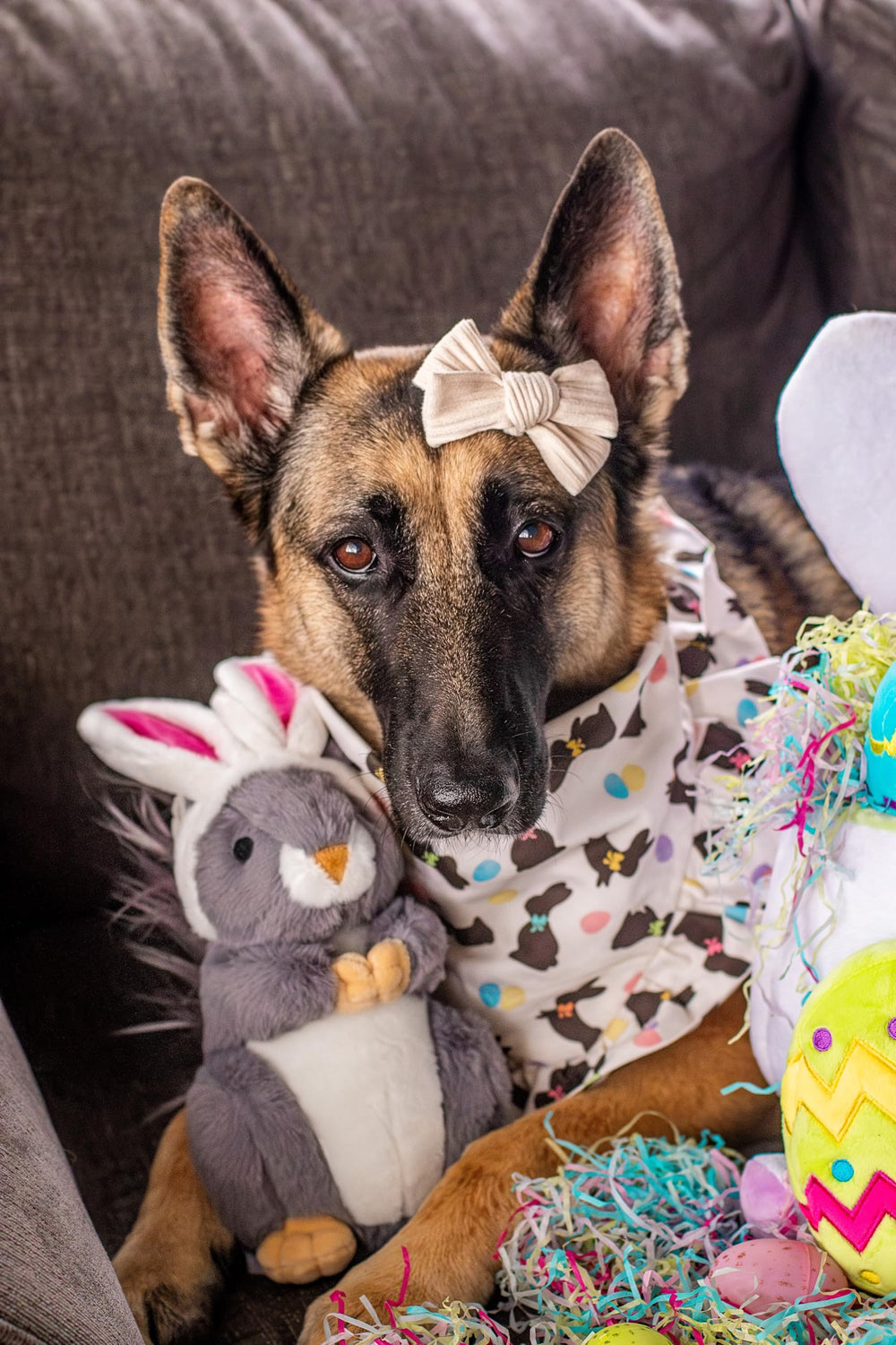 Midlee jouet paques chien: idéal pour remplir le panier de Pâques.