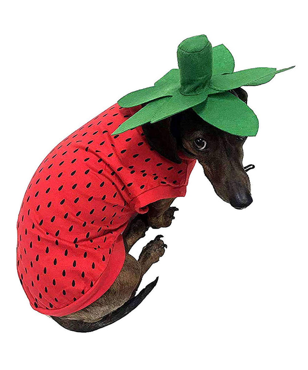 Midlee costume-chien-fraise-moyen-face, parfait pour Halloween et parades festives.