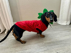 Midlee costume-chien-fraise-moyen-modeles-yorkie, taille adaptée pour Yorkie.