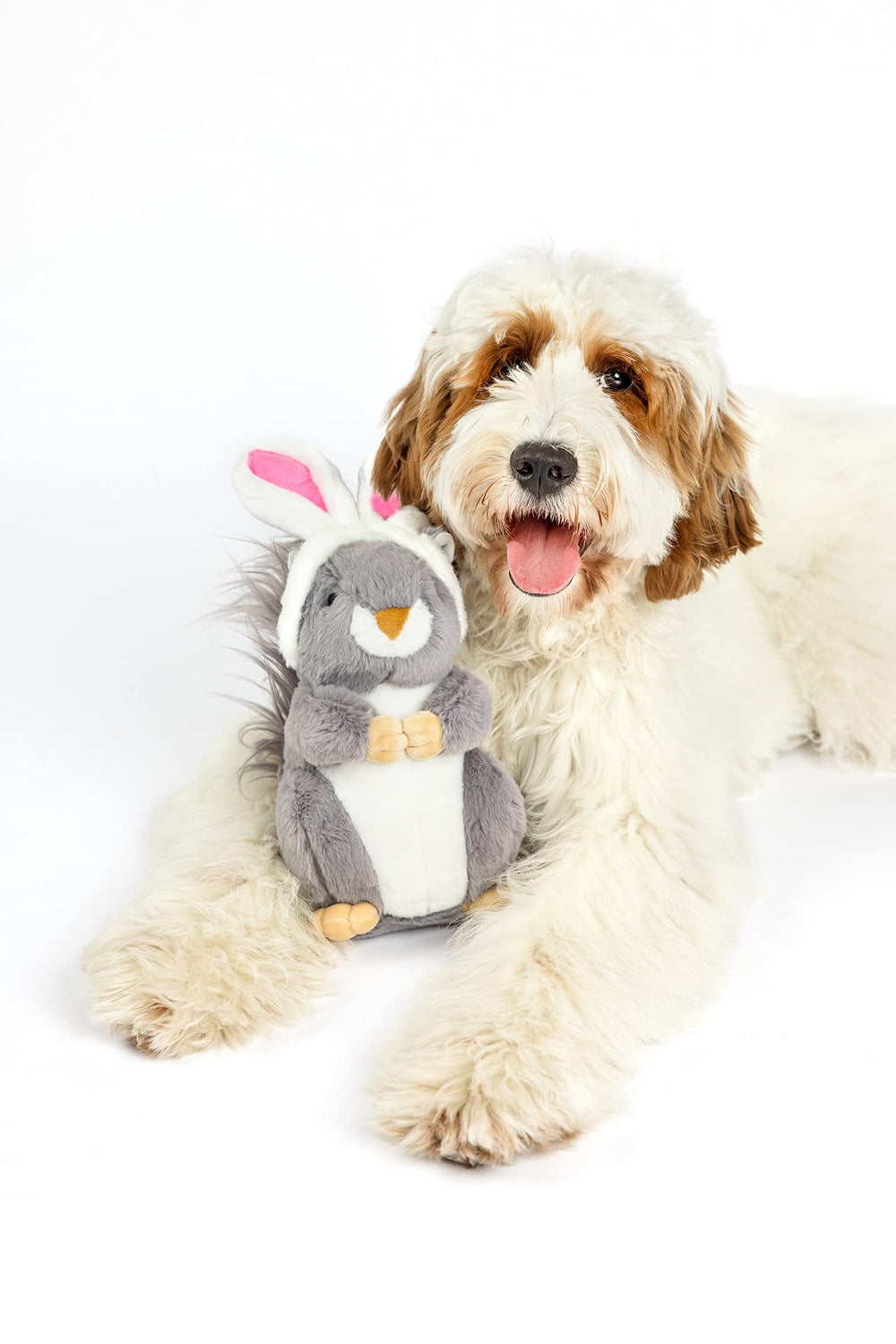 Midlee Écureuil-Lapin peluche chien: sifflet intégré pour plus de stimulation sonore.