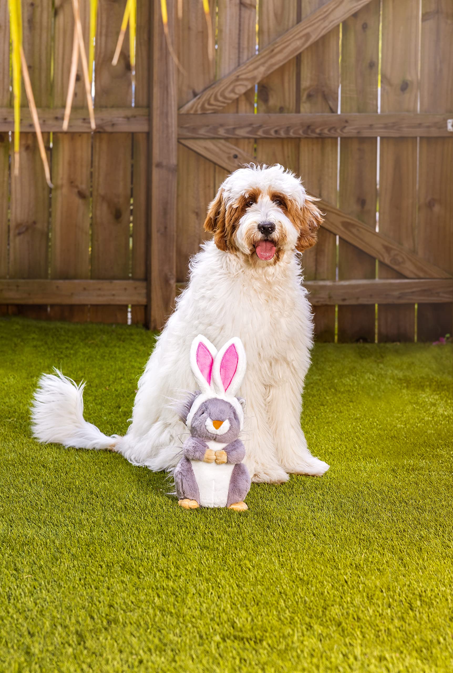 Midlee écureuil-lapin: jouet qui stimule les poursuites et l'imagination.