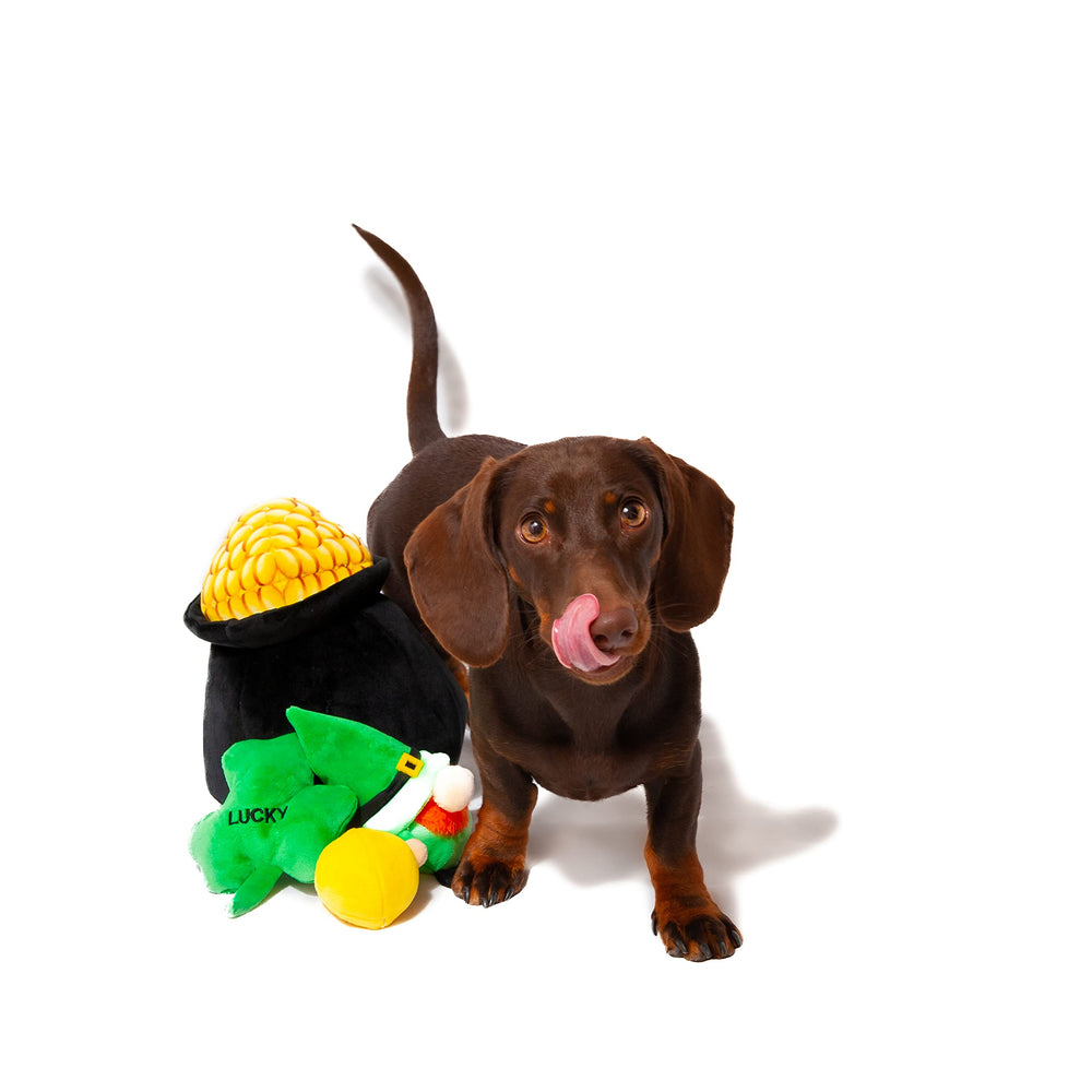 Midlee Hide-A-Toy lutin-irlandais: personnage ludique qui ajoute du fun au jeu.
