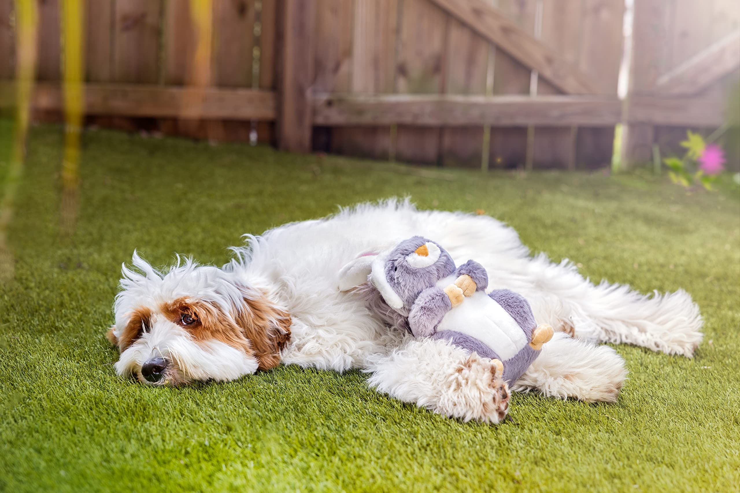 Midlee peluche design paques: jouet décoratif et amusant pour chiens.