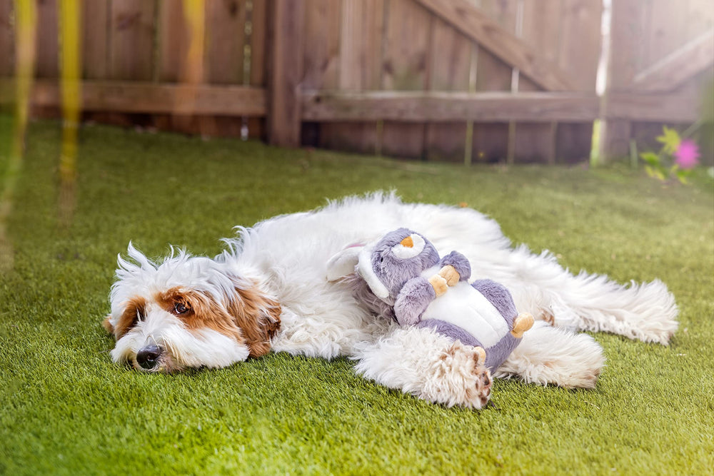 Midlee peluche design paques: jouet décoratif et amusant pour chiens.