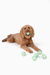 Ensemble de 6 balles Midlee pour tennis, design festif Saint-Patrick.