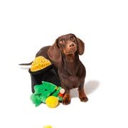 Midlee Hide-A-Toy tas-or-peluche: tas d’or en peluche pour un jeu tactile plaisant.