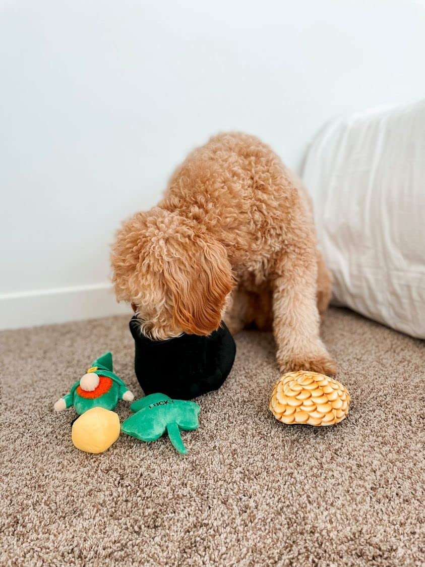 Midlee Hide-A-Toy trefle-peluche: trèfle en peluche pour jeu doux et captivant.