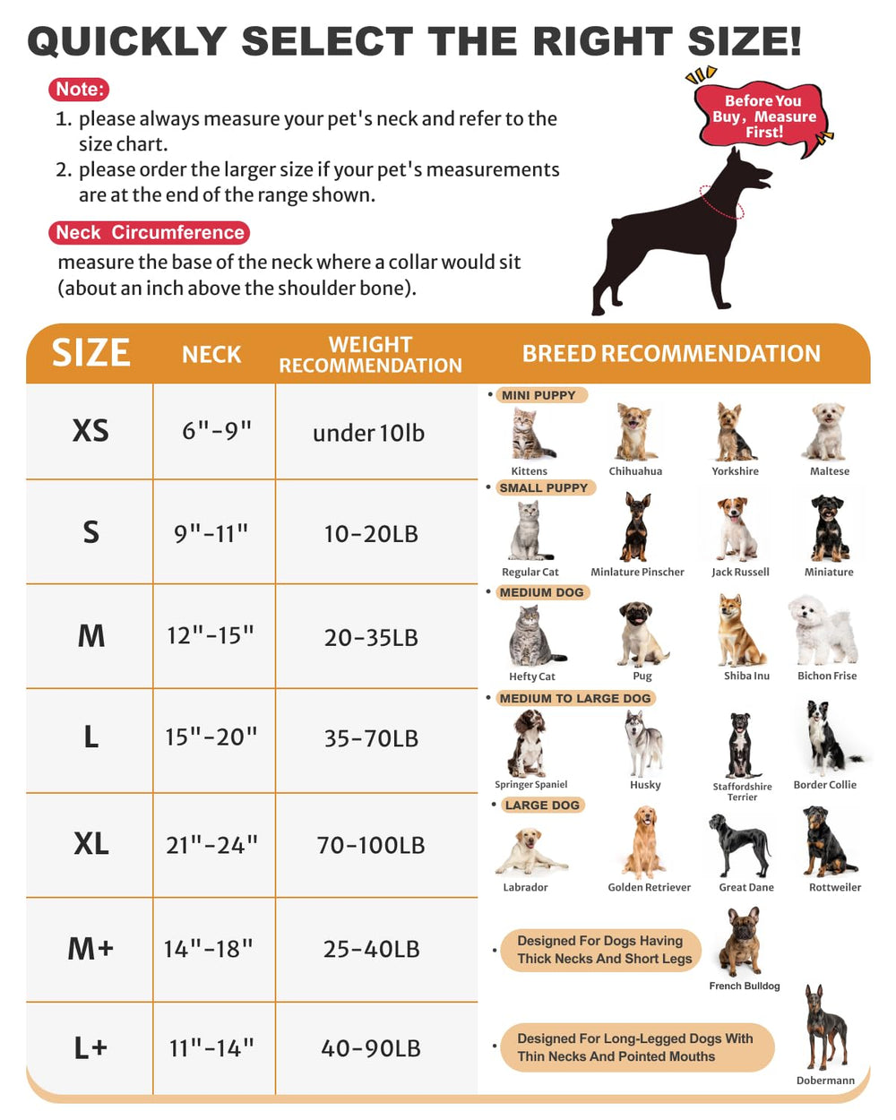 MIDOG collier gonflable accorde accès à nourriture et eau tout en protégeant.