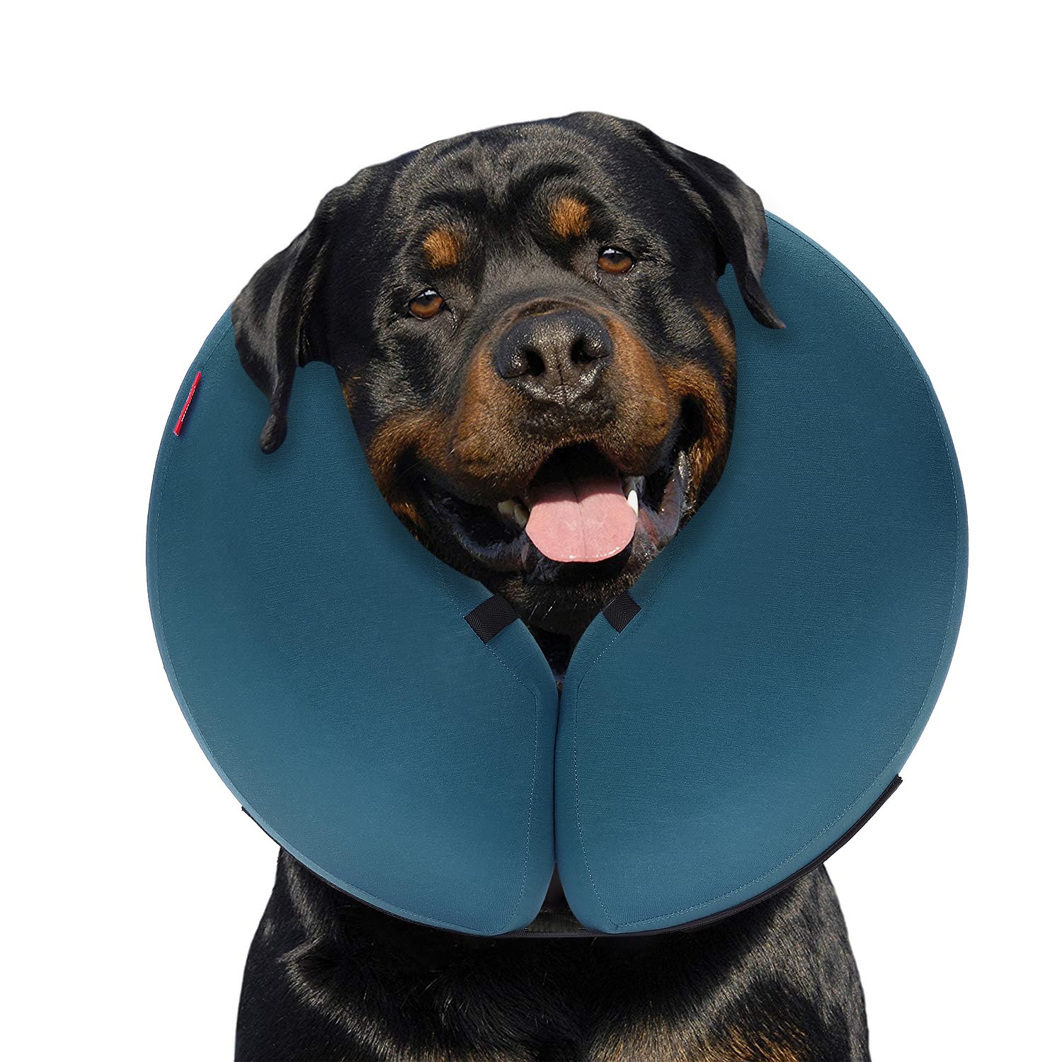 MIDOG collier anneau gonflable doux protège les plaies tout en laissant manger.