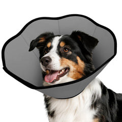 MIDOG collier-cone après chirurgie protège la plaie en douceur.