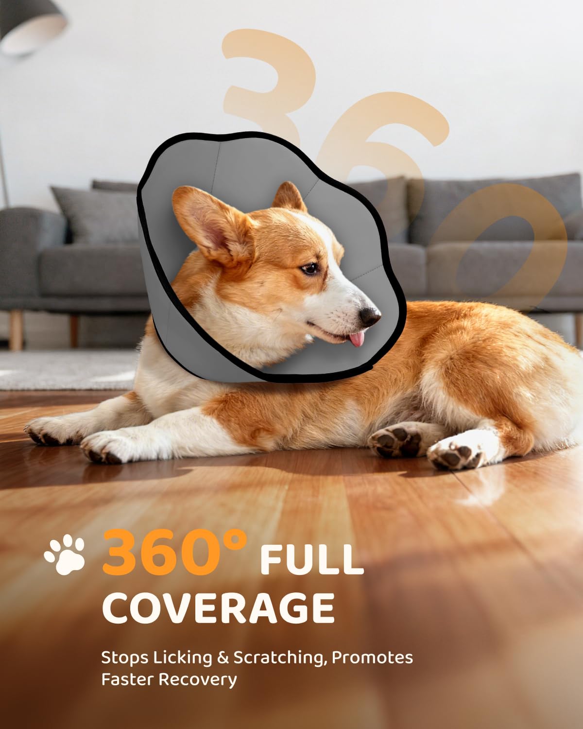 MIDOG collier-cone réglable assure un ajustement sûr pour toutes tailles.