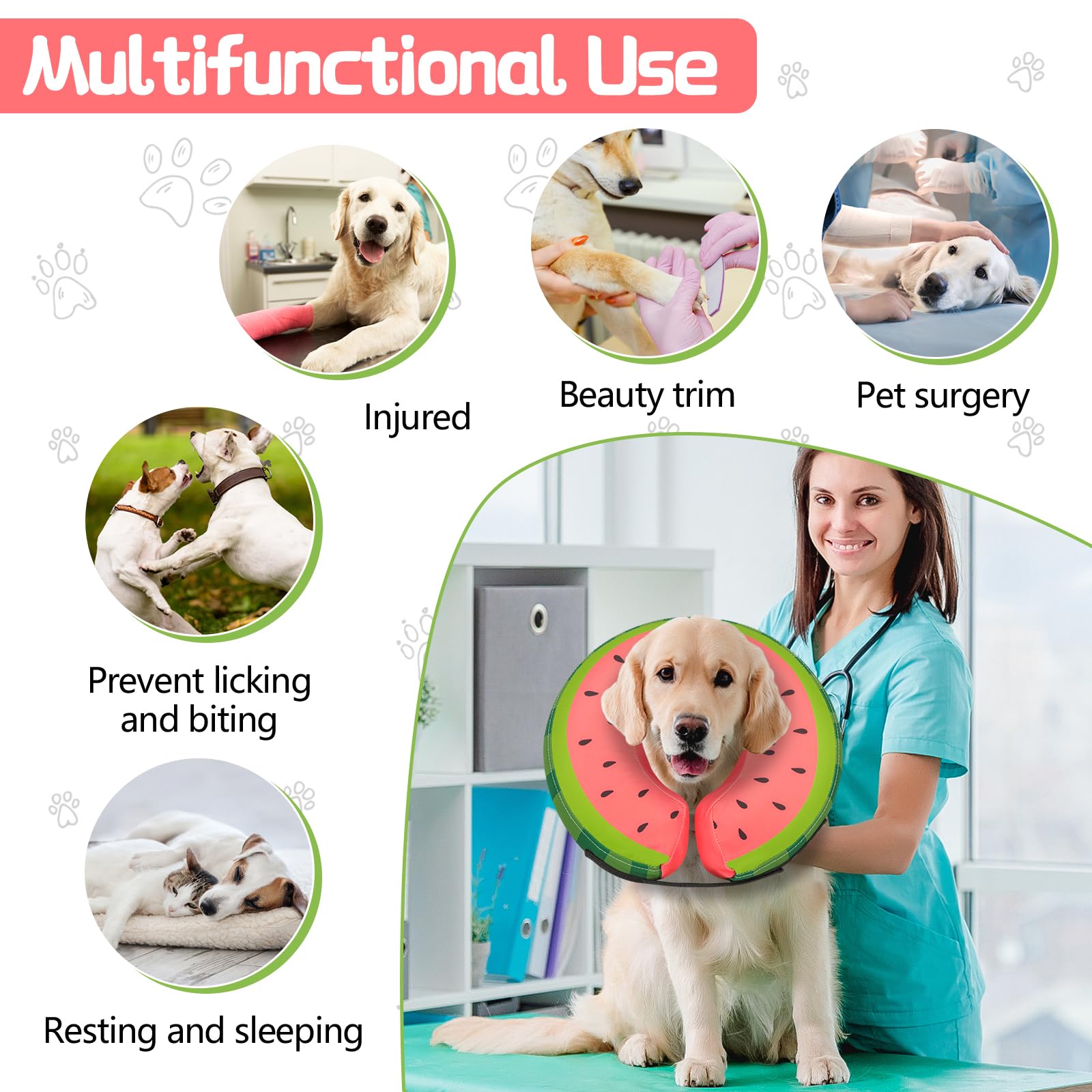 Midog collier inflable doux, idéal pour chiens et chats après chirurgie.