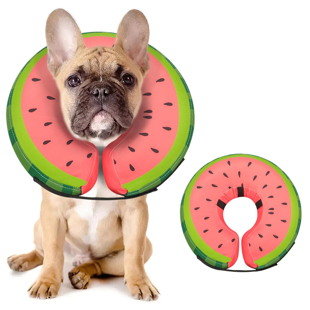 Midog collier inflable doux pour chien, vision normale et récupération sans stress.