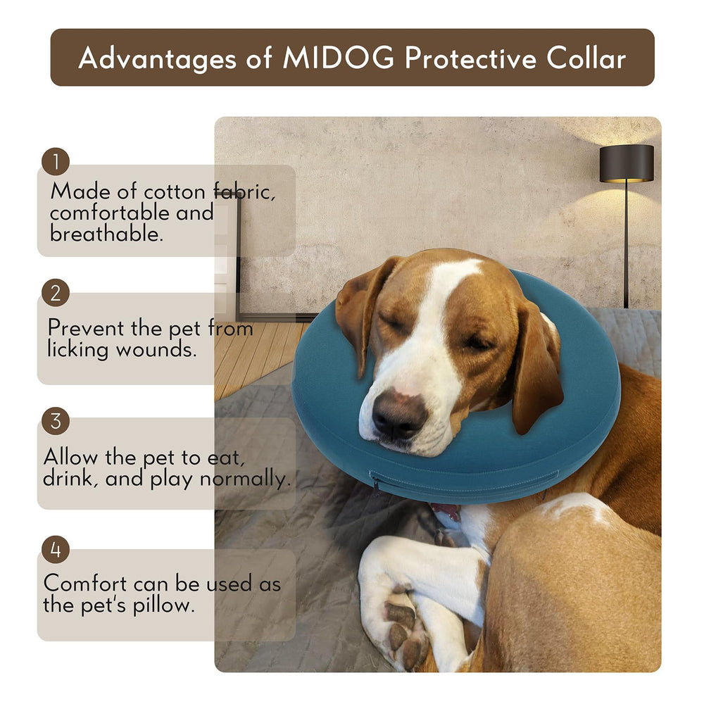 MIDOG collier protection incisions empêche l’accès aux plaies.