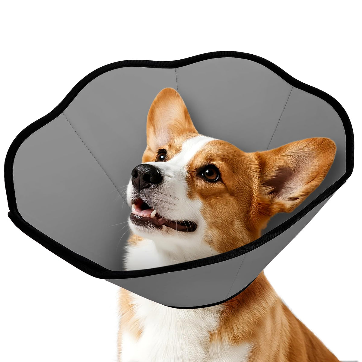 Collier conique MIDOG doux pour recuperation, offre un confort prolongé