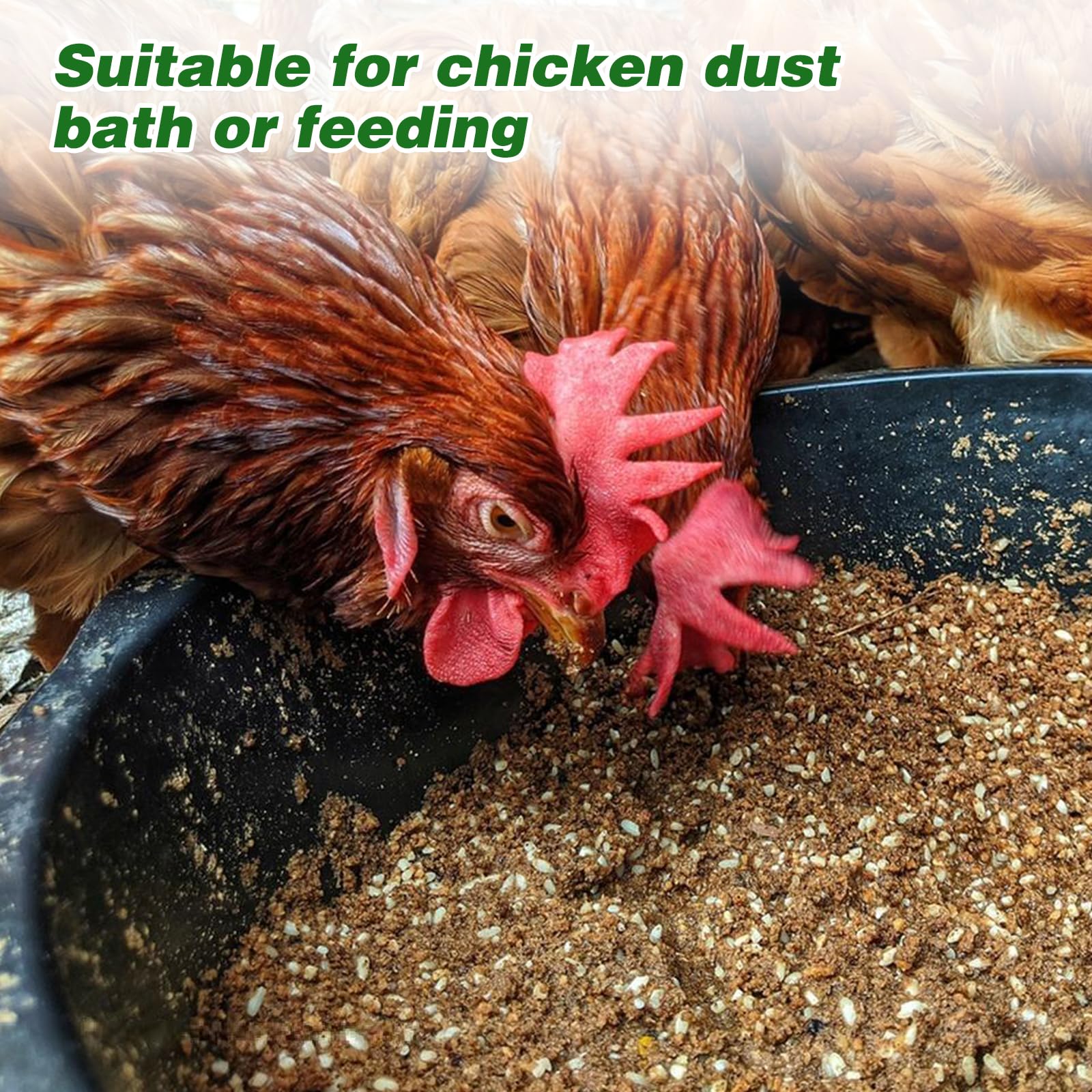 Midollarle pan-pour-volailles: idéal pour poules et canards.