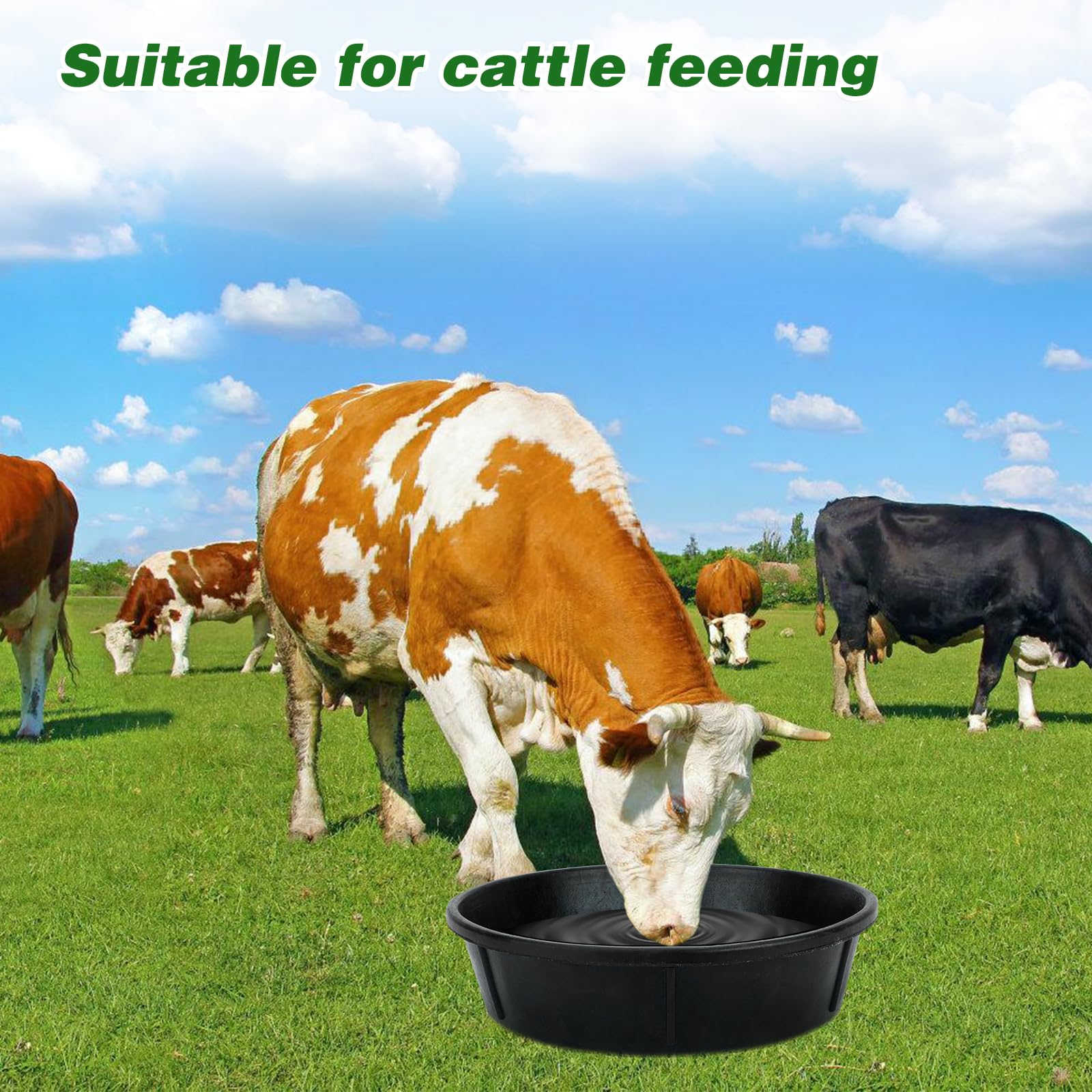 Midollarle pan-usage-ferme-animaux-multi-species: adapté à divers animaux.