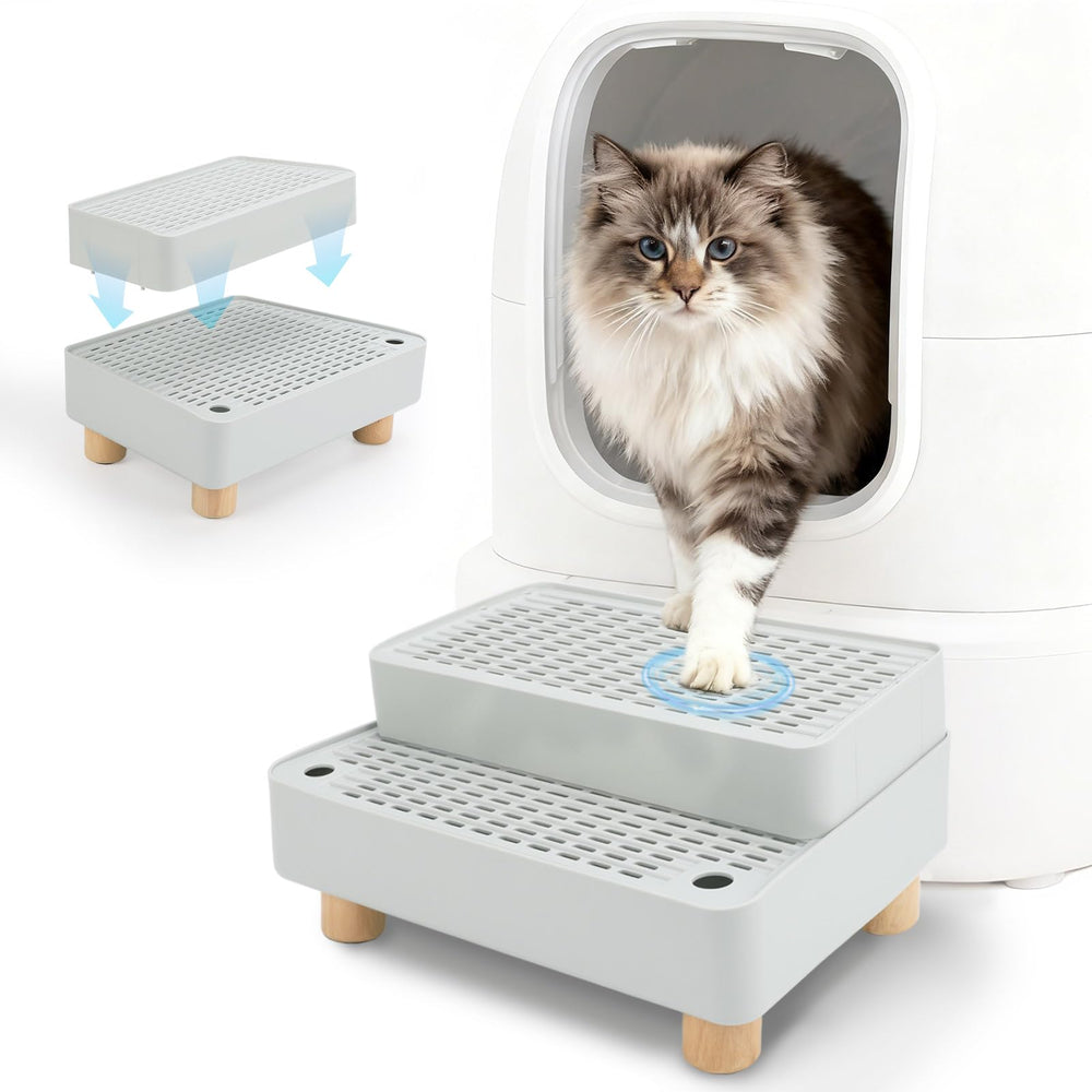Midollarle rampe élévée pour boîte à litière grise facilitant l’accès des chats âgés