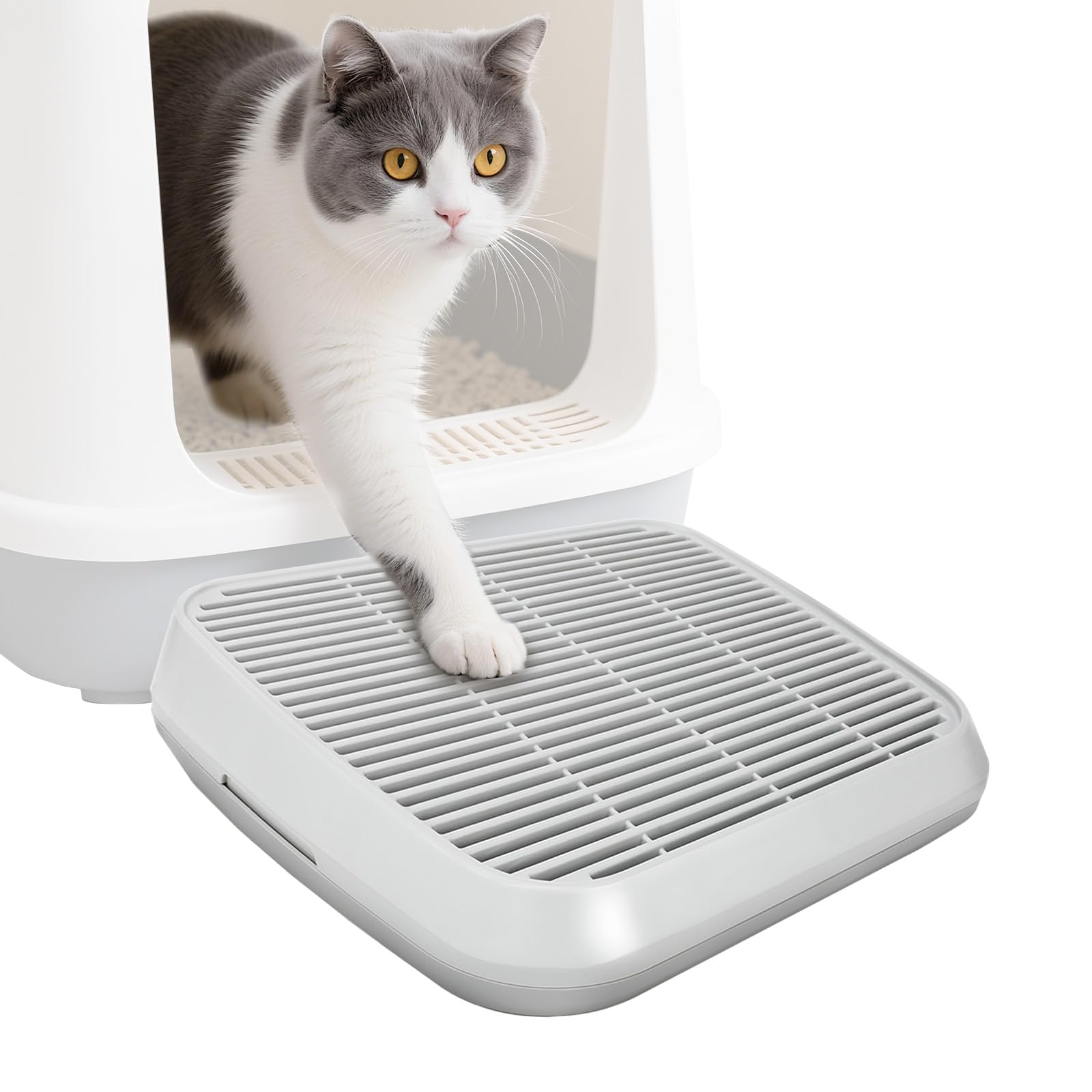 Midollarle Rampe pour chat sur litière, accessible et sécurisée pour les seniors.