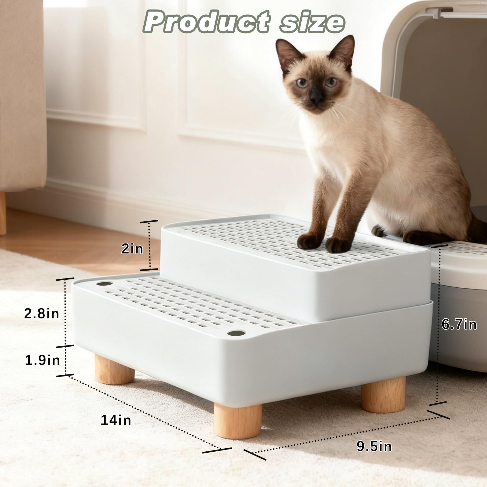 Montage simple et usage quotidien avec la rampe Chat Midollarle