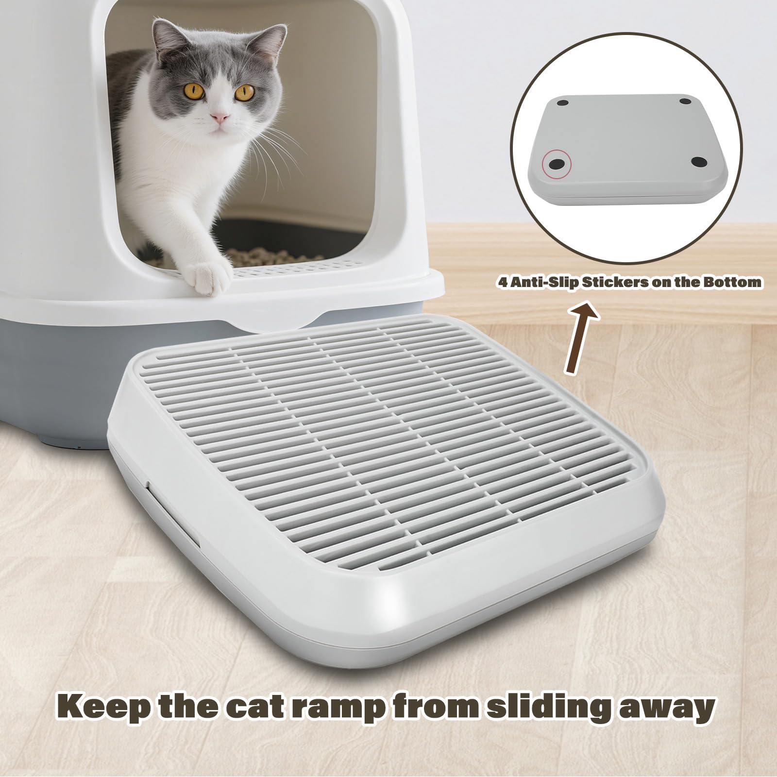 Midollarle Rampe chat pour tout type de bac, idéal pour tous les chats.