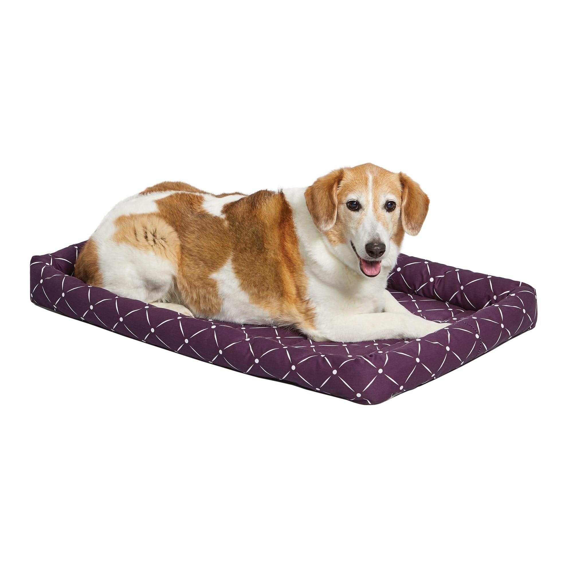 Ashton Bolster Midwest : lit-chien 36 pouces plum-blanc pour plus de confort dans la caisse.