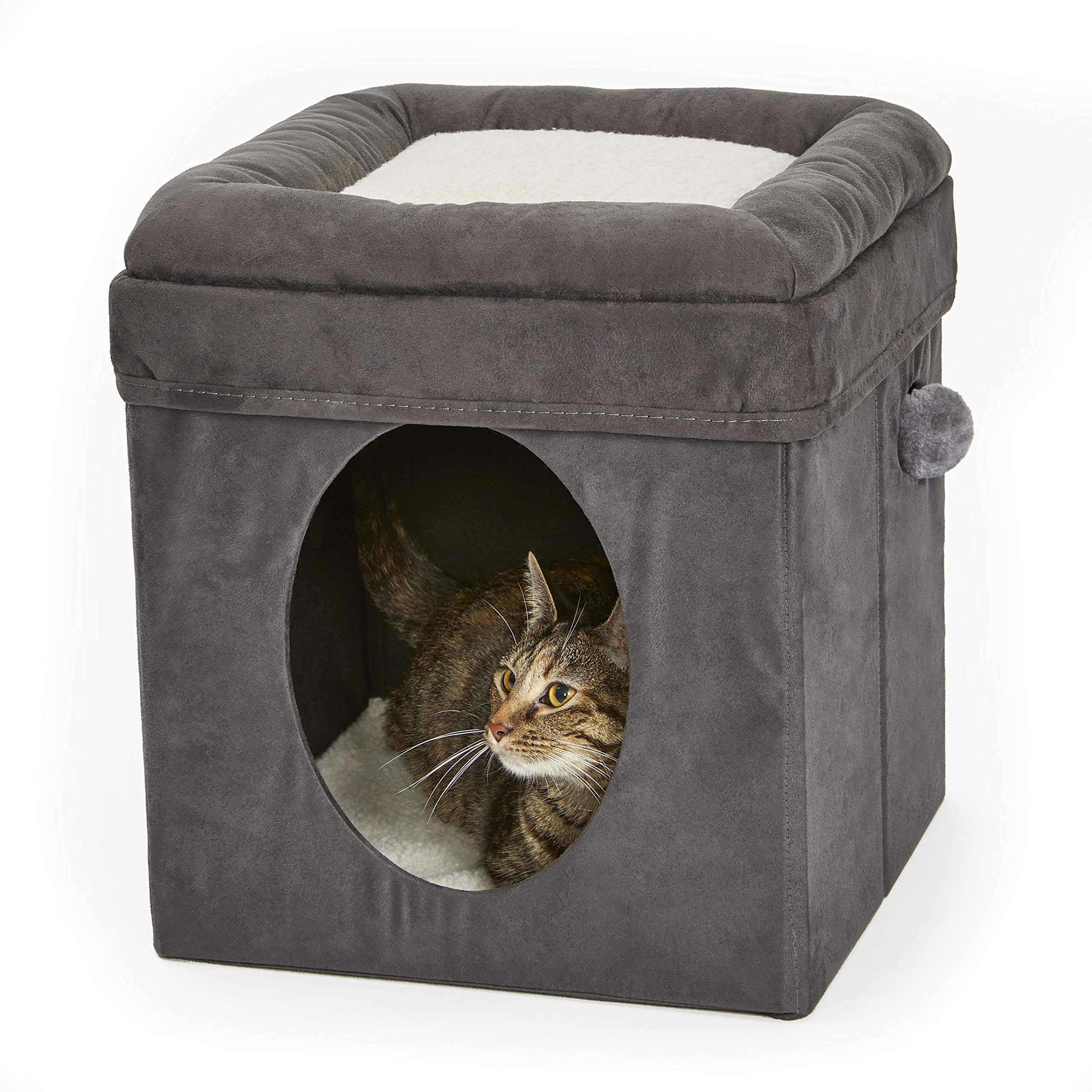 MidWest Cat Cube jouet-suspendu: stimulation et distraction pour chat.