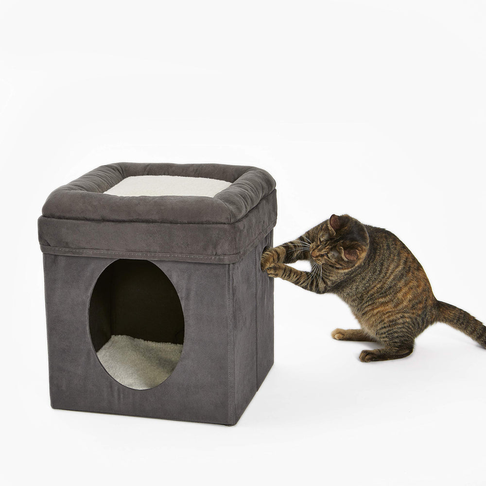 MidWest Cat Cube lit-coussin: sieste confortable surélevée.