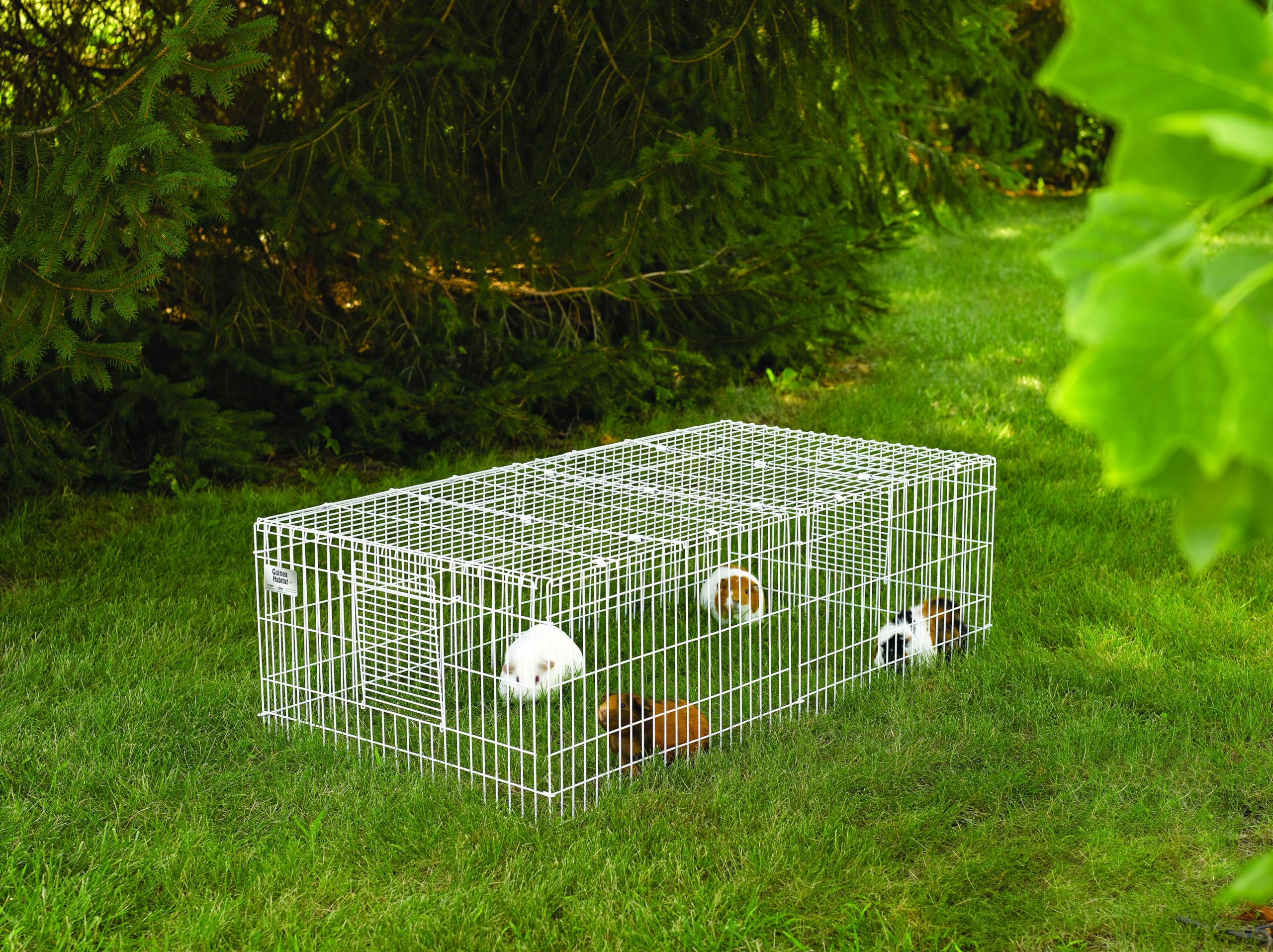 MidWest Cobaye Habitat Plus: configuration modulaire pour habitats connectés.