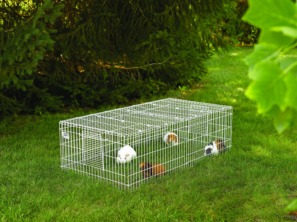 MidWest Cobaye Habitat Plus: configuration modulaire pour habitats connectés.