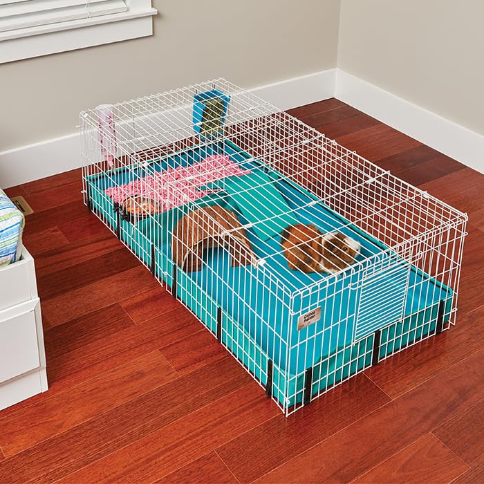 MidWest Cobaye Habitat Plus: dimensions 8 pieds carrés pour plusieurs cobayes.