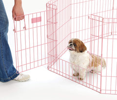 MidWest Enclos 24 pouces avec porte grande – passage sans effort pour vous et votre chien.