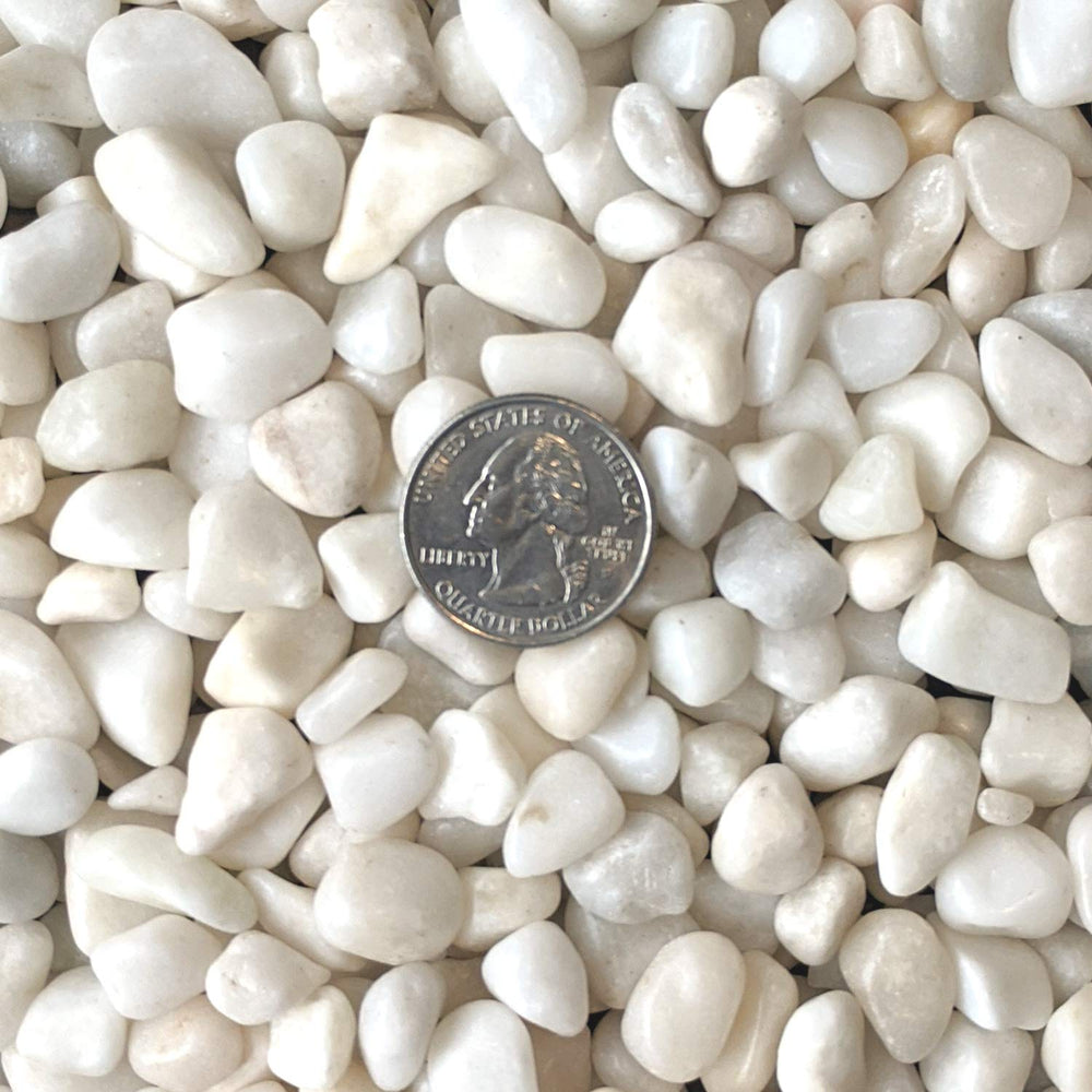 Midwest Hearth galets blancs polis surface polie avec cire pour couleur éclatante